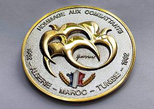 MEDAILLES D AFN - 249